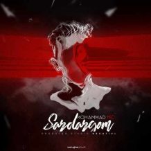 دانلود آهنگ جدید محمد امسی به نام سردرگم